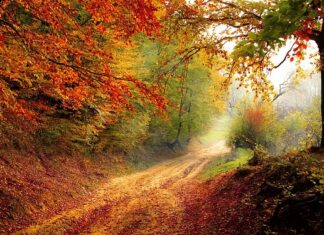 Jak sprawdzić z którego roku jest szyba BMW? Jak sprawdzić z którego roku jest szyba BMW?