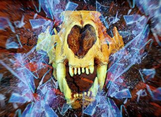 Jak zabezpieczyć okno przed zbiciem? Jak zabezpieczyć okno przed zbiciem?