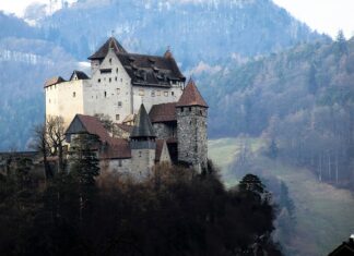 Co oznacza symbol Skody?