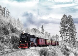 Jak długo trwa transport samochodu z fabryki do salonu?