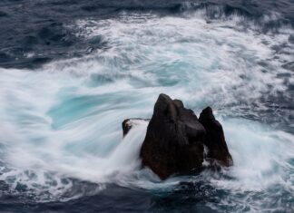 Jaka jest cena samochodu Ford Fiesta nowego? Jaka jest cena samochodu Ford Fiesta nowego?