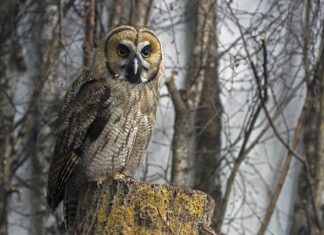 Ile tak naprawdę pali hybryda? Ile tak naprawdę pali hybryda?