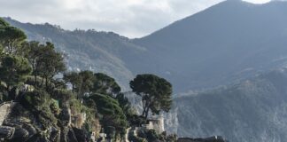 Ile kosztuje Skoda VRS?