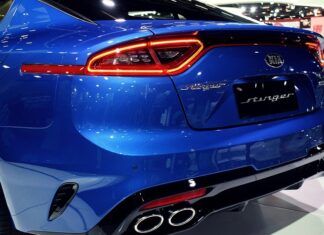 Ile koni ma Stinger? Ile koni ma Stinger?