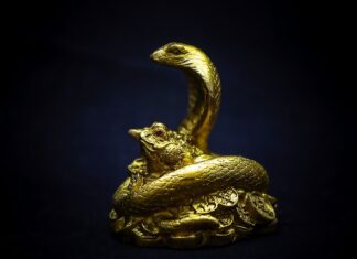 Co z Talismanem? Co z Talismanem?