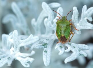 Jakie tanie auto na początek?