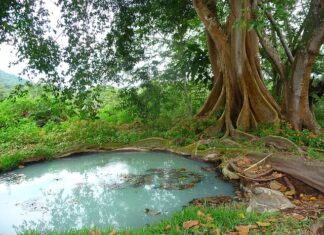 Dlaczego w domu czuć szambo? Dlaczego w domu czuć szambo?