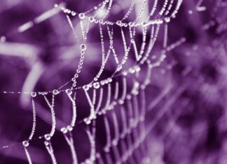 Jak sprawdzić czy są oryginalne szyby?