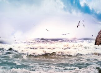 Co oznacza słowo Storm? Co oznacza słowo Storm?