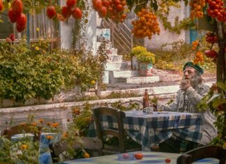 Ile pali Skoda Fabia 1.6 benzyna?