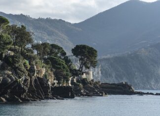 Ile kosztuje Ford Mondeo?