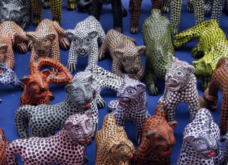 Ile lat żyją jaguary?