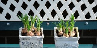 Dlaczego zalewa motocykl?