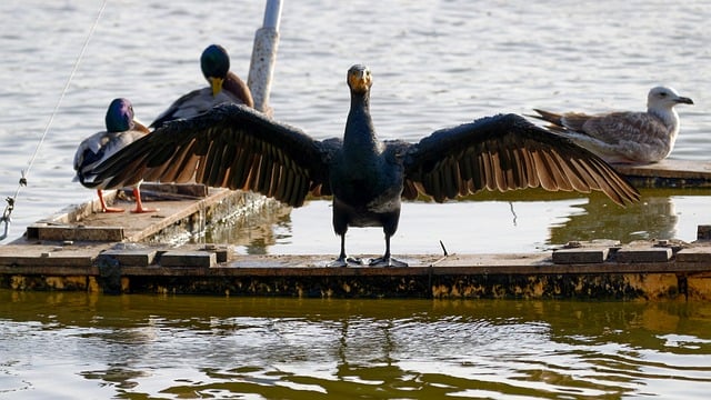 Ile wynosi rata za nowy samochód? Ile wynosi rata za nowy samochód?