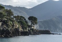 Ile kosztuje kładł? Ile kosztuje kładł?