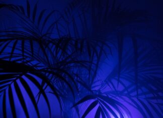 Co oznacza PK na pasku?