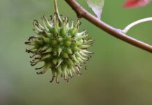 Co zrobić żeby guma była miękka? Co zrobić żeby guma była miękka?