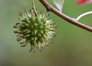Co zrobić żeby guma była miękka? Co zrobić żeby guma była miękka?