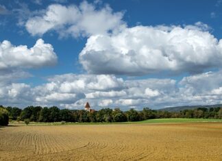 Kiedy grunt a kiedy farba podkładowa? Kiedy grunt a kiedy farba podkładowa?