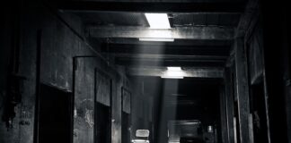 Gdzie jest fabryka FILTRON?