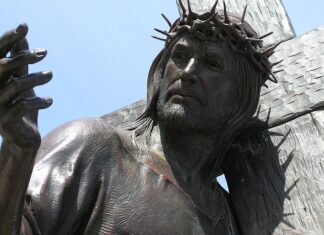 Jak długo schnie baranek? Jak długo schnie baranek?